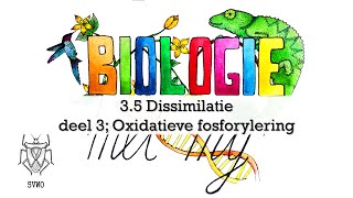 5V  35 Dissimilatie deel 3 oxidatieve fosforylering [upl. by Oeniri]