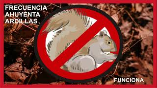 🐿AHUYENTA ARDILLAS 🐿sonido frecuencia 🐿FUNCIONA 🐿ultrasonido 🐿 [upl. by Reinhard]