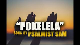 pokelela Amalumbo by psalmist sam [upl. by Nosned]