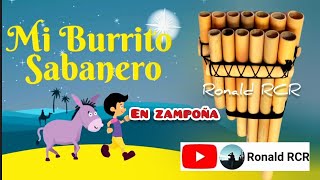 Mi Burrito Sabanero 🐴🎄en ZAMPOÑA Tutorial [upl. by Windham394]