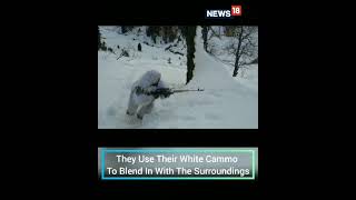 Indian Army Sniper Training In Kashmir  Indian Army Snow Duty  Army Status  CNN News18 [upl. by Verna]