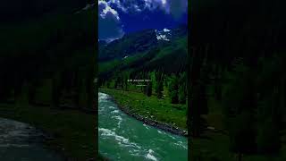 Tu Aake Dekh Le  Aesthetic lyrics Status Slowed And Reverb Song shorts status lyrics viral [upl. by Llevad]