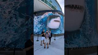 Shark Nassau Bahamas Cruise Port sharks sharkweek shorts nassaubahàmas [upl. by Cressler689]