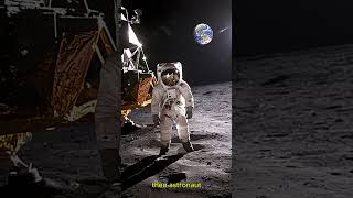 Watch Neil Armstrong Make HISTORY as the First Man on the Moon [upl. by Arol865]