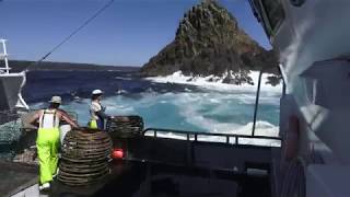 CRAYFISHING ON THE WESTCOAST OF TASMANIA DECKWORK [upl. by Mellette]