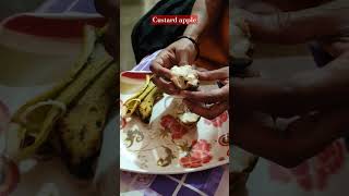 Custard apple ya sitafalplease like and subscribeAmnablogg [upl. by Toffic]