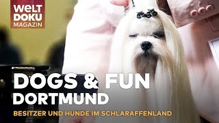 DOG amp FUN HUNDEMESSE DORTMUND Schnüffeln amp Shoppen Das Schlaraffenland für Vier und Zweibeiner [upl. by Eirbua200]