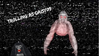 Trolling as Daisy09 in gorilla tag [upl. by Hillell]