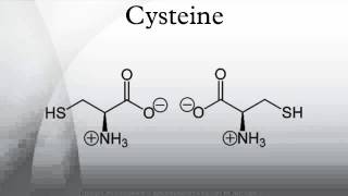 Cysteine [upl. by Alleira]