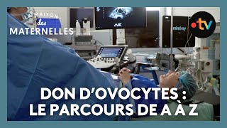 Don dovocytes  le parcours de A à Z – La maison des Maternelles LMDM [upl. by Goldwin]