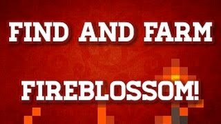 How to FindFarm Fireblossom in Terraria Android iOS PC Console [upl. by Gerianne]