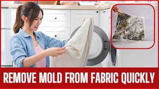 How To Remove Mold From Fabric Within 5 Minutes [upl. by Murton]