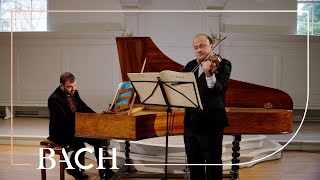 Bach  Sonata for violin and harpsichord no 2 in A major BWV 1015  Netherlands Bach Society [upl. by Mathews]