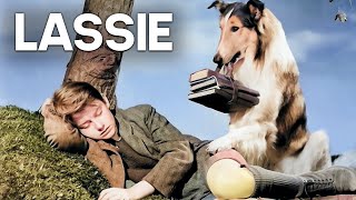 Lassie  The Painted Hills  Free Drama Film [upl. by Gotcher]