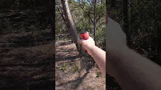 Shooting Byrna SD vs Tree camping lesslethal byrna [upl. by Ytineres]