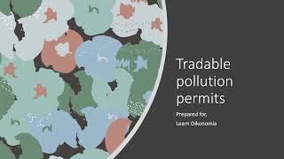 Tradable pollution permits [upl. by Aggie]