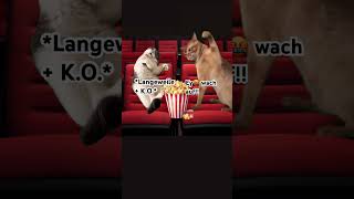 Katzen Memes Kino Pt2 katze catlover funny [upl. by Keil250]