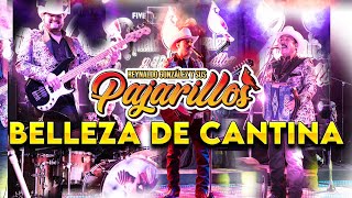 Belleza De Cantina  Reynaldo González y Sus Pajarillos Video Oficial [upl. by Irakuy]