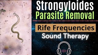 Rife Frequencies for Strongyloides Parasite Removal [upl. by Crabb]