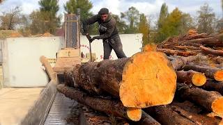 A Full Day at the Sawmill From Logs to Chips – No Cuts No Filters [upl. by Assiral312]