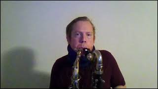 Saxophone BassClarinet Singing Circular Breathing [upl. by Tecil62]