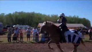 Knights of Mayhem joust in Utah [upl. by Hansiain]