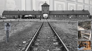 Uncensored The Worst Concentration Camp in 2024  Auschwitz–Birkenau 🇵🇱 [upl. by Burd823]