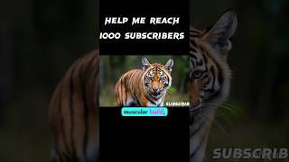 The Tasmanian Tiger  A unique predator shorts facts wildlife education [upl. by Jecho]