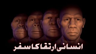 The Story of Human Evolution  Urdu  Hindi [upl. by Yddur708]