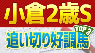 【小倉2歳ステークス2022予想】追い切り・調教が好調だった「トップ３」はこの馬だ🐴 ～JRA小倉二歳Sの一週前と最終追い切り、馬体映像を分析～ [upl. by Iverson]