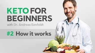 A keto diet for beginners part 2 how it works [upl. by Abran]