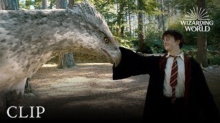 Meet Buckbeak  Harry Potter and the Prisoner of the Azkaban [upl. by Madancy]