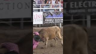 Steer Wrestling rodeo cowboy steer gets away shorts [upl. by Sadnac625]