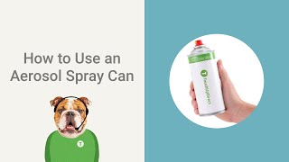 How to Use an Aerosol Spray Can to Touch Up Your Car Paint  TouchUpDirect [upl. by Ttergram]