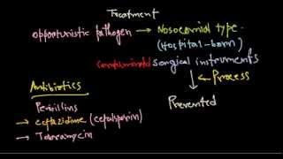 Pseudomonas aeruginosa treatment [upl. by Radferd279]