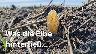 Fantastische Funde dank geologischem Wissen  Edelsteine finden in Deutschland [upl. by Asus713]