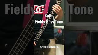 Fieldy Bass Tone Solo [upl. by Oicor]