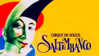 Saltimbanco  Shame on Cirque [upl. by Ojoj208]