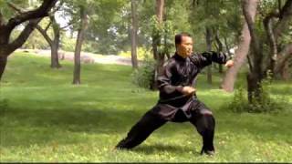 Chen Taijiquan Master Ren GuangYi amp Lou Reed  Tai Chi [upl. by Anaig]