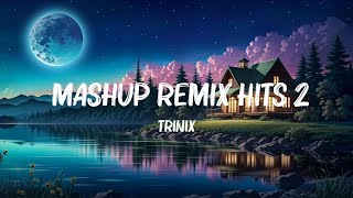 TRINIX  Mashup Remix Hits 2021 Hot Lyrics 2023 [upl. by Inal]