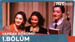 Yaprak Dökümü 1 Bölüm [upl. by Oravla]