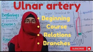 Ulnar artery  beginning  course  relations  branches  ayesha medical education [upl. by Ramso730]