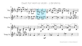 🎶 Duet For Horn amp Violin  J Brahms 🎸🎸 [upl. by Aiuhsoj951]