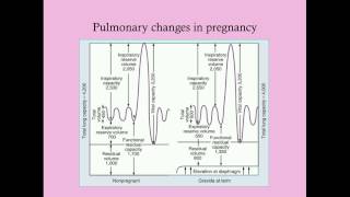 Basic Physiology of Pregnancy  CRASH Medical Review Series [upl. by Mullins73]