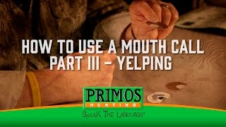 How to Use a Mouth Turkey Call Part III  Yelping [upl. by Nryhtak306]