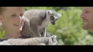 Soigneur dun Jour au Zoo de La Flèche [upl. by Glenn471]