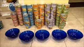 Ragdoll Cats Receive Lotus Cat Food Just Juicy Canned Cat Food  ねこ  ラグドール  Floppycats [upl. by Cerelia]