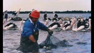 Six Generations of Fishing  Russell Massey a digital story from the Lake Illawarra MAP Project [upl. by Vincenz]