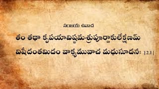 Bhagavad Gita Chanting Chapter2 With Text in Teluguభగవద్గీత పారాయణం తెలుగులొ [upl. by Haroved515]