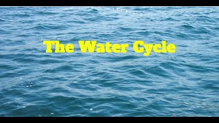 Water Cycle [upl. by Seve]